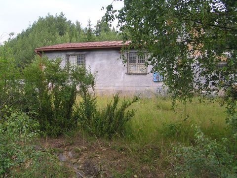 Foto 53